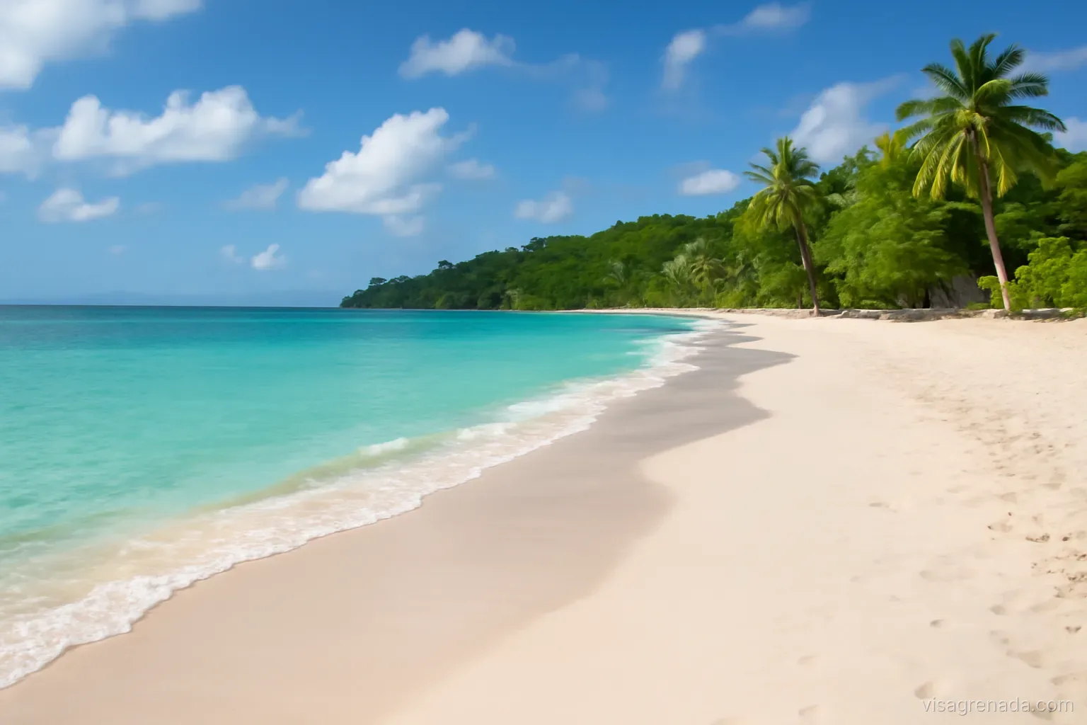 Chuẩn bị gì trước khi làm visa Grenada?