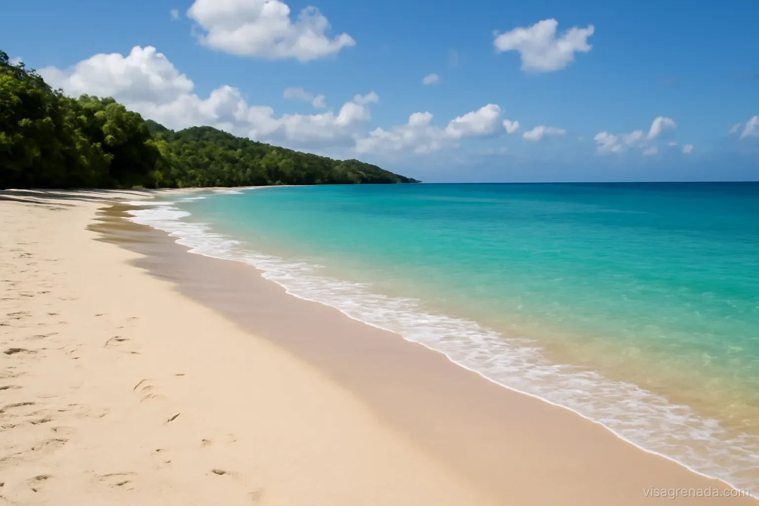 Visa Grenada: nên bắt đầu từ đâu?